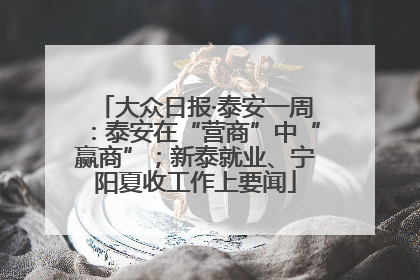 大众日报·泰安一周：泰安在“营商”中“赢商”；新泰就业、宁阳夏收工作上要闻